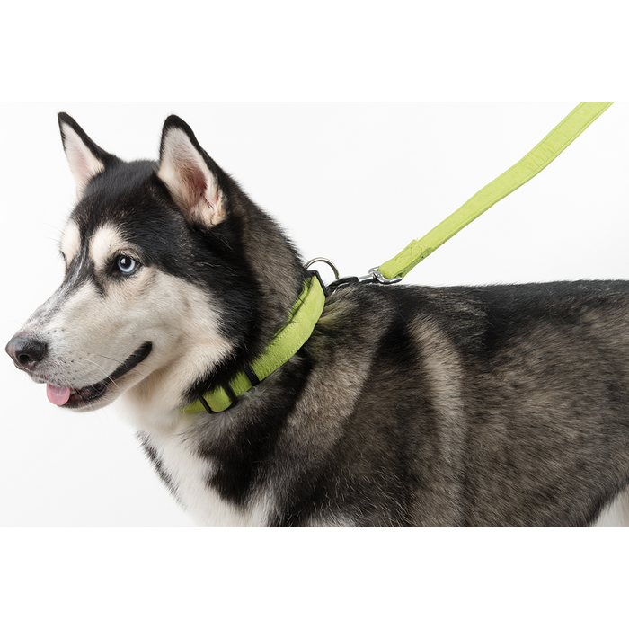 product_image_11_031-11-111018-1.png