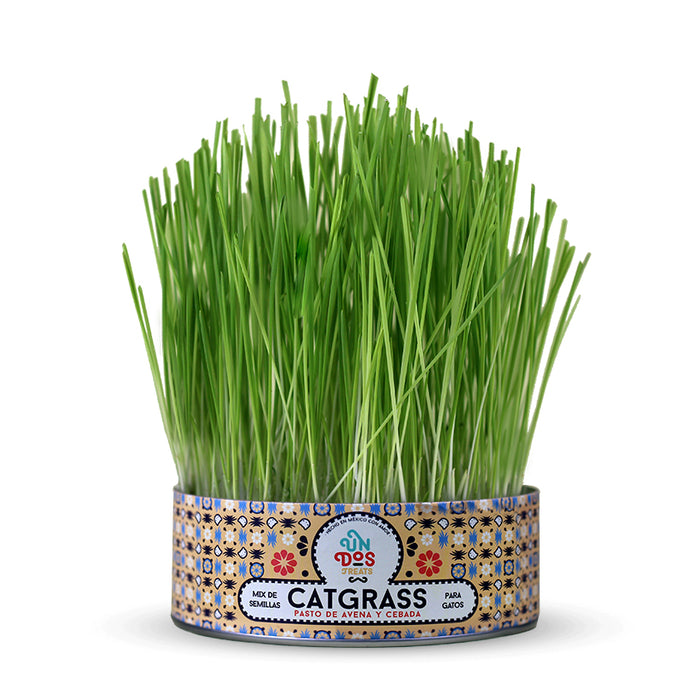 product_image_1_101-11-098155-1.jpg