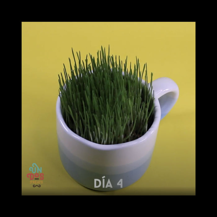 product_image_5_101-11-097592-1.jpg