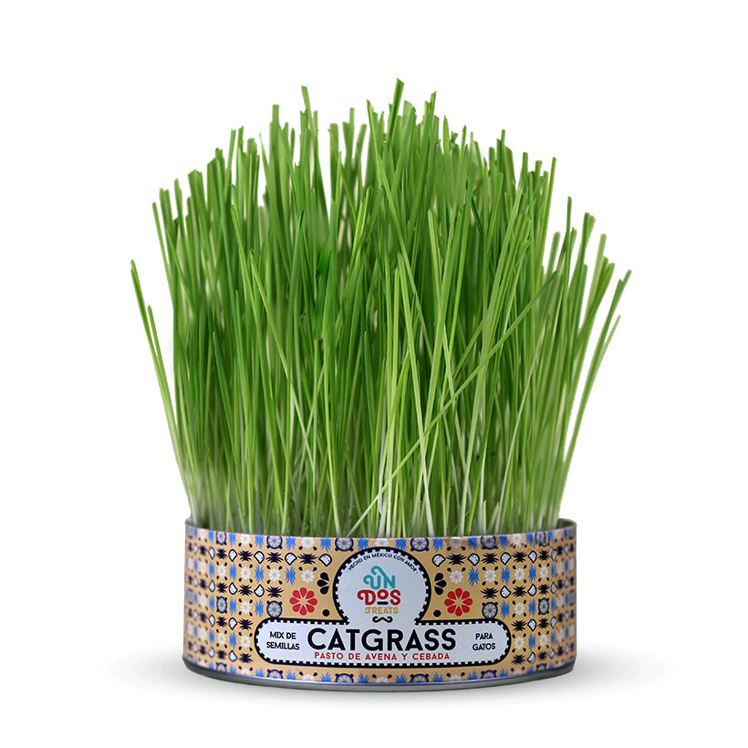 product_image_5_101-11-098155-1.jpg