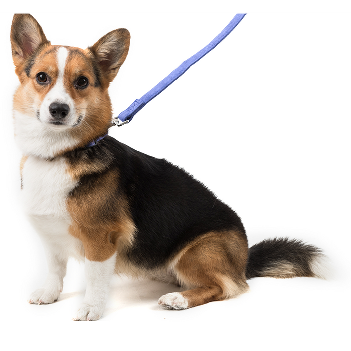 product_image_9_031-11-111018-1.png